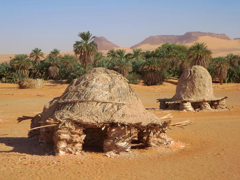 Dates are stored in large caches at Teguedei in northern Chad, Central Africa.