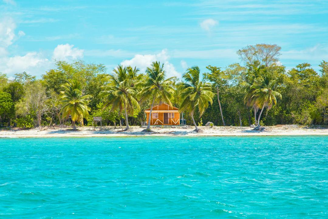 Photo of Wooden Cabin on Beach Near Coconut Trees