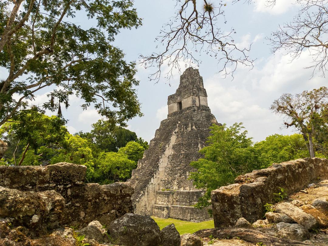 The Great Jaguar Tikal in Guatemala