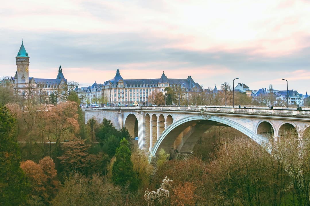 A bridge over a forest, with old European buildings in the background.