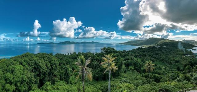 Green trees on several islands