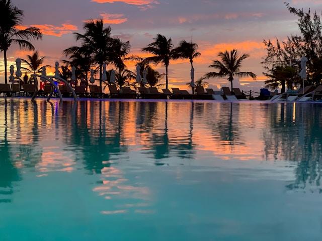 A swimming pool in front of coconut trees