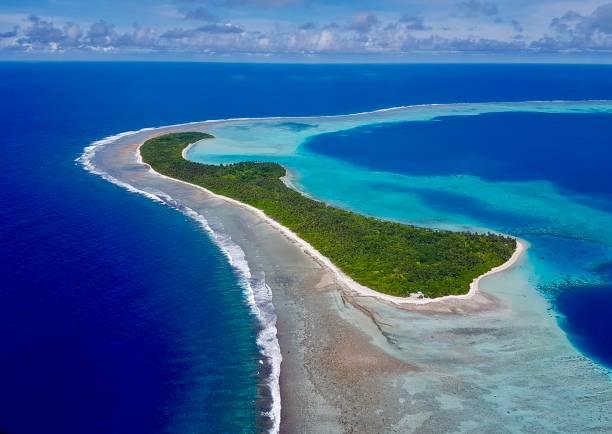 A small island covered in trees in a blue ocean